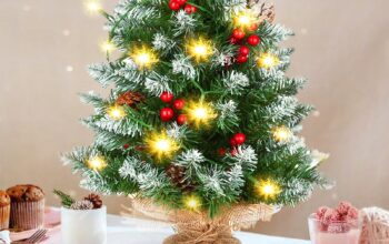 ea8ed47e692669117a634c154f518fd1510249e15d3defb7cdfbb0a45421e76206a1cd0e64c571c5a8d0460b920b7272a152aba102e8c448812415ccae182c243a8e8237737acd0db9feb03601c55574