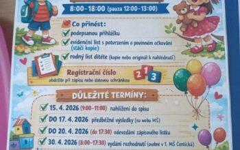 1775049889392 (Malý)